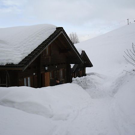 Ferienwohnungen Im Blockhaus Metzler Schwarzenberg im Bregenzerwald Esterno foto
