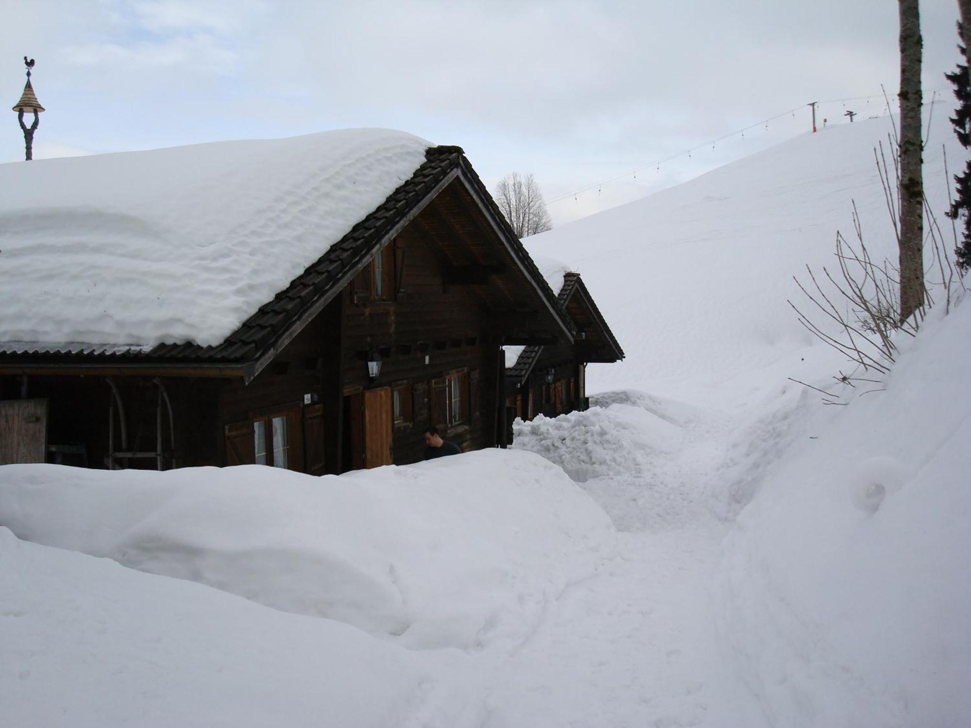 Ferienwohnungen Im Blockhaus Metzler Schwarzenberg im Bregenzerwald Esterno foto
