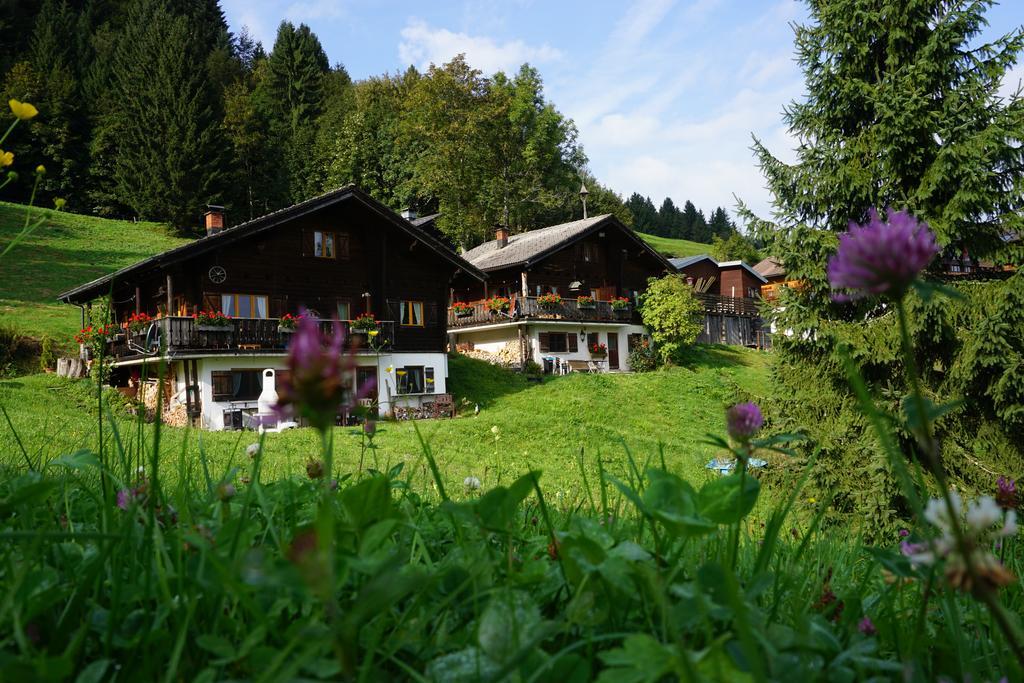 Ferienwohnungen Im Blockhaus Metzler Schwarzenberg im Bregenzerwald Esterno foto